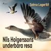 Nils Holgerssons underbara resa