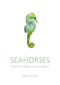Seahorses: A Life-Size Guide to Every Species