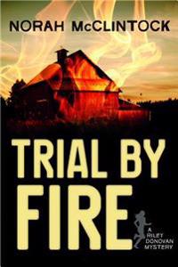 Trial by Fire: A Riley Donovan Mystery