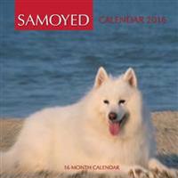 Samoyed Calendar 2016: 16 Month Calendar