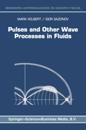 Pulses and Other Wave Processes in Fluids