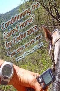 Conditioning the Gaited Horse for Endurance