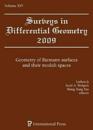 Surveys in Differential Geometry