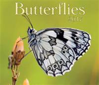 Butterflies 2017 Calendar