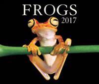Frogs 2017 Calendar