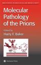Molecular Pathology of the Prions
