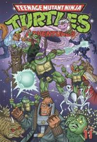 Teenage Mutant Ninja Turtles Adventures 11