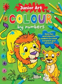 Junior Art Colour by Numbers, Pirate