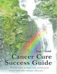 Cancer Cure Success Guide: Proven Ways to Treat, Cure and Prevent Cancer and Other Chronic Illness