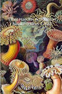 Ernst Haeckel Artforms in Nature (Plates 1-100): (The World of Art) 100 All Original, Color Plates