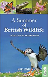 A Summer of British Wildlife