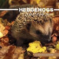Hedgehogs Calendar 2016: 16 Month Calendar