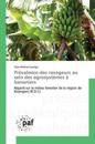 Prévalence Des Ravageurs Au Sein Des Agrosystèmes À Bananiers