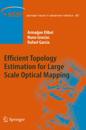 Efficient Topology Estimation for Large Scale Optical Mapping