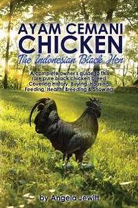 Ayam Cemani Chicken - The Indonesian Black Hen. A complete owner's guide to this rare pure black chicken breed. Covering History, Buying, Housing, Fee