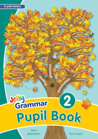 Grammar 2 Pupil Book (in print letters)