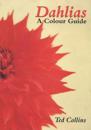 Dahlias: a Colour Guide