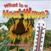 What Is a Heat Wave?