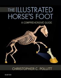 Illustrated Horse's Foot - E-Book