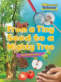 Fundamental science key stage 1: from a tiny seed to a mighty tree: how pla