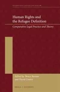 Human Rights and the Refugee Definition: Comparative Legal Practice and Theory