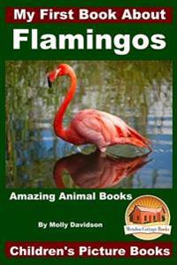 My First Book about Flamingos - Amazing Animal Books - Children's Picture Books