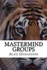 MasterMind Groups: Start & Succeed with MasterMind Groups