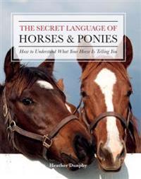 The Secret Language of Horses and Ponies: How to Understand What Your Horse Is Telling You