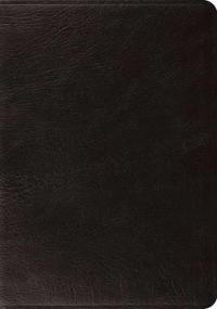 ESV Systematic Theology Study Bible (Black)