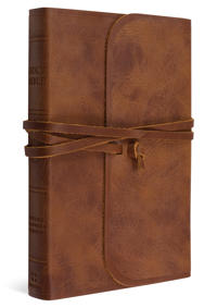 ESV Thinline Bible (Flap with Strap)