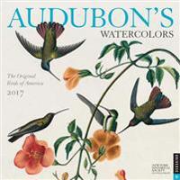 Audubon's Watercolors 2017 Wall Calendar: The Original Birds of America