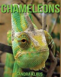 Childrens Book: Amazing Facts & Pictures about Chameleons