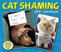Cat Shaming 2017 Day-To-Day Calendar