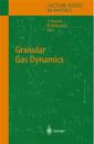 Granular Gas Dynamics