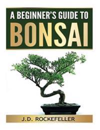 A Beginner's Guide to Bonsai