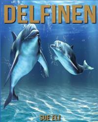 Delfine: Kinderbuch Uber Delfine Mit Sagenhaften Bilder & Viel Wissenswertes