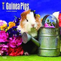GUINEA PIGS 2017 WALL CALENDAR