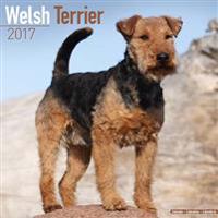 Welsh Terrier Calendar 2017