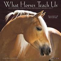 What Horses Teach Us Mini Wall Calendar