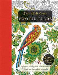 Exotic Birds: Gorgeous Coloring Books with More Than 120 Pull-Out Illustrations to Complete