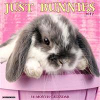 Just Bunnies 2017 Calendar