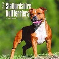 Staffordshire Bull Terriers 2017 Calendar