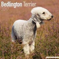 Bedlington Terrier Calendar 2017