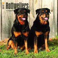 Rottweilers 2017 Square