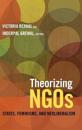 Theorizing NGOs