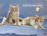 Katzenkinder Posterkalender 2017