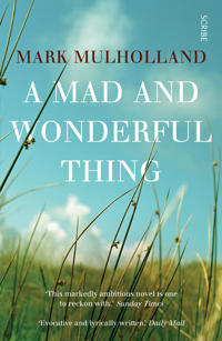 Mad and wonderful thing