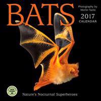 Bats 2017 Wall Calendar: Nature's Nocturnal Superheroes