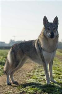 The Czechoslovakian Vlcak Wolfdog Dog Journal: 150 Page Lined Notebook/Diary