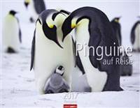Pinguine auf Reise 2017